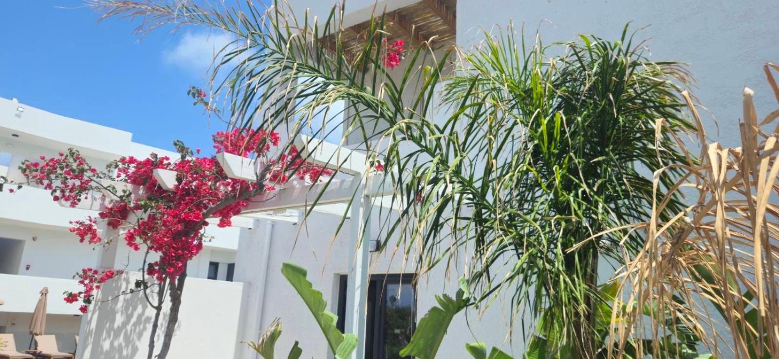 Aegean View Hotel - Adults Only Sfáka Esterno foto